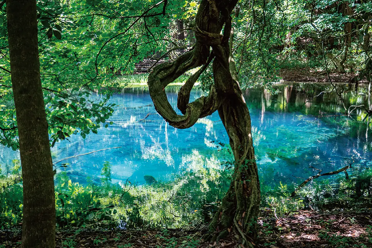 丸池様の写真